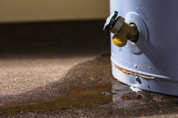 Best Water damage contractors near me  in West Kittanning, PA