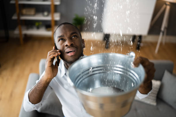 Best Carpet water damage restoration  in West Kittanning, PA