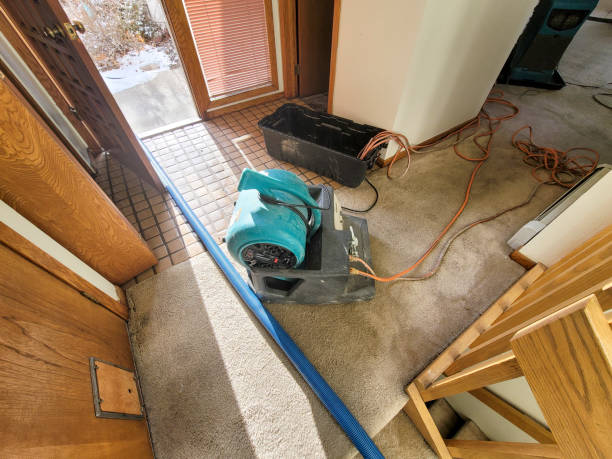 Best Flood damage cleanup  in West Kittanning, PA