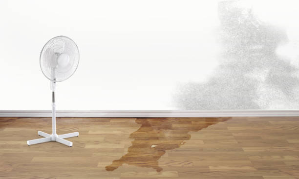 Best Commercial water damage restoration  in West Kittanning, PA