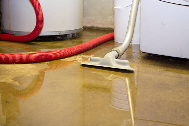Best Ceiling water damage repair  in West Kittanning, PA