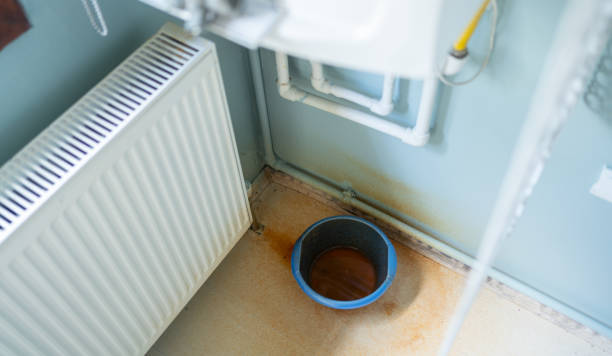 Best Professional water damage repair  in West Kittanning, PA
