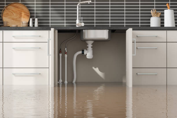 Best Mold removal after water damage  in West Kittanning, PA