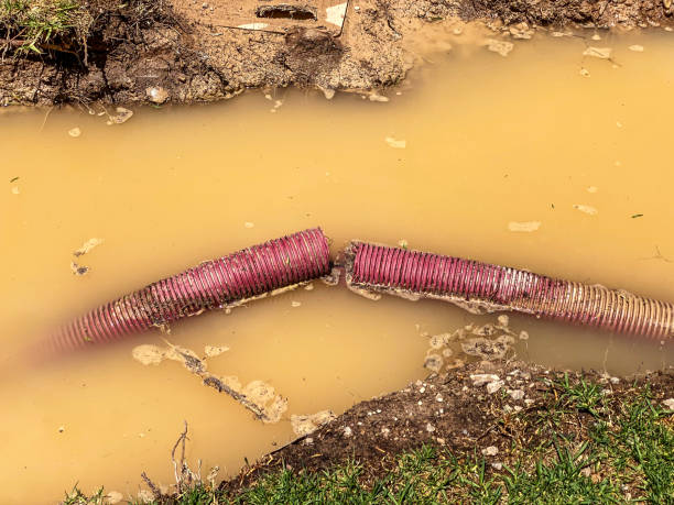 Best Local water damage restoration  in West Kittanning, PA