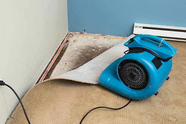Best Flood damage cleanup  in West Kittanning, PA